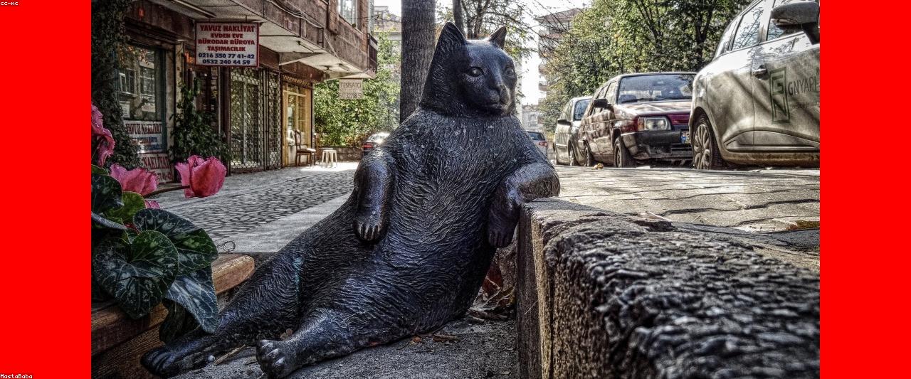 Hakkımızda
